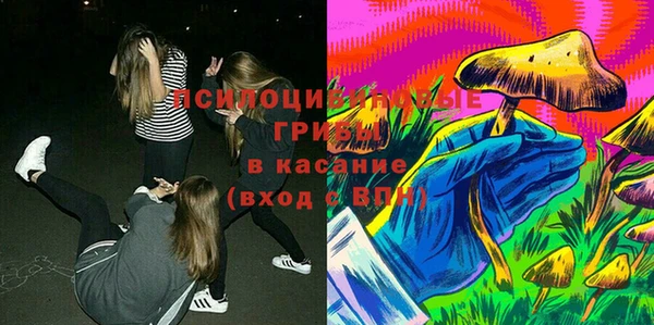 твердый Арсеньев